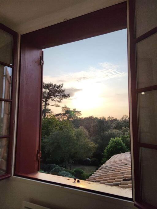 Arcachon Appartement 4 Personnes - Residence Beausejour Екстериор снимка